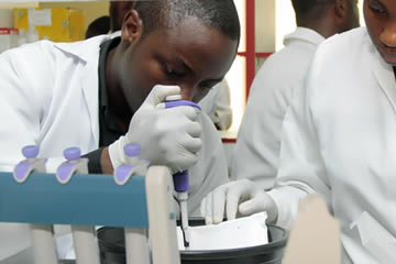 Biotechnological Research